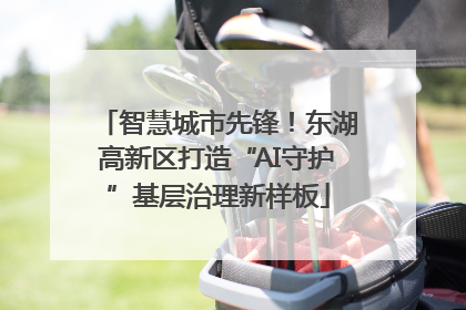 智慧城市先锋！东湖高新区打造“AI守护”基层治理新样板