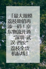 最大规模荔枝助销再添一码！京东物流开通“深圳-武汉-西安” 荔枝全货机航线
