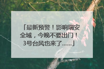 最新预警！影响瑞安全域，今晚不要出门！3号台风也来了……