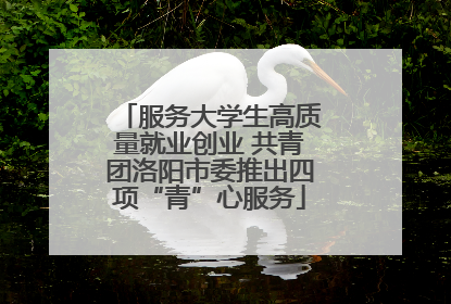 服务大学生高质量就业创业 共青团洛阳市委推出四项“青”心服务
