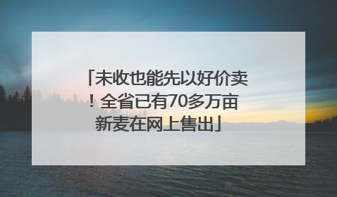 未收也能先以好价卖！全省已有70多万亩新麦在网上售出