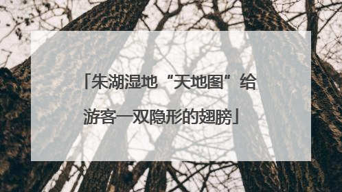 朱湖湿地“天地图”给游客一双隐形的翅膀