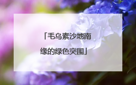 毛乌素沙地南缘的绿色突围