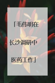 毛伟明在长沙调研中医药工作