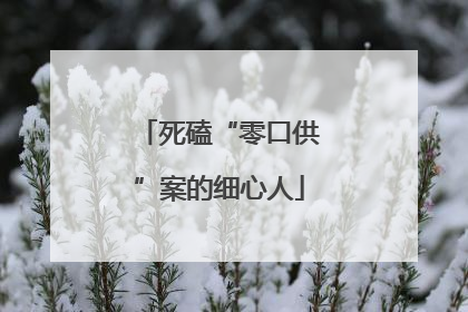 死磕“零口供”案的细心人