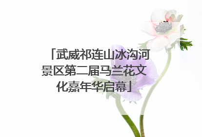 武威祁连山冰沟河景区第二届马兰花文化嘉年华启幕