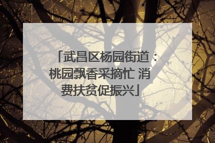 武昌区杨园街道：桃园飘香采摘忙 消费扶贫促振兴