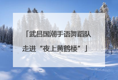 武昌国潮手语舞蹈队走进“夜上黄鹤楼”