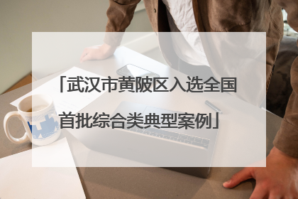 武汉市黄陂区入选全国首批综合类典型案例