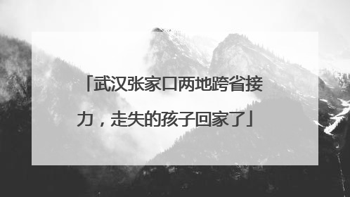 武汉张家口两地跨省接力，走失的孩子回家了