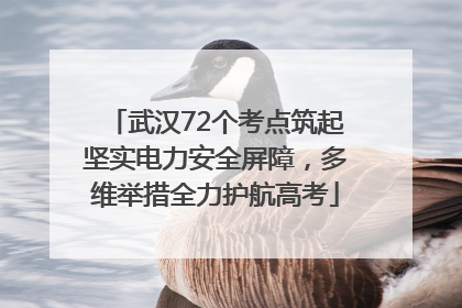 武汉72个考点筑起坚实电力安全屏障，多维举措全力护航高考