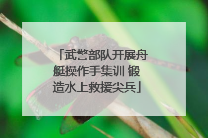 武警部队开展舟艇操作手集训 锻造水上救援尖兵