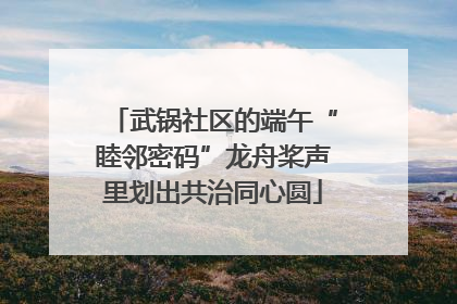 武锅社区的端午“睦邻密码”龙舟桨声里划出共治同心圆