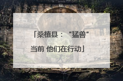 桑植县：“猛兽”当前 他们在行动