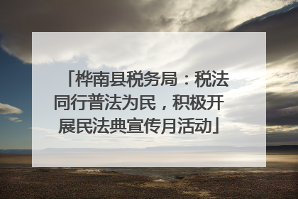 桦南县税务局：税法同行普法为民，积极开展民法典宣传月活动