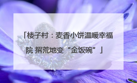 楼子村：麦香小饼温暖幸福院 撂荒地变“金饭碗”