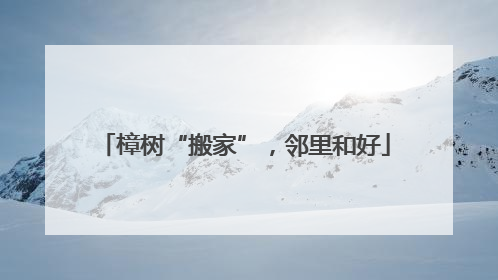 樟树“搬家”，邻里和好