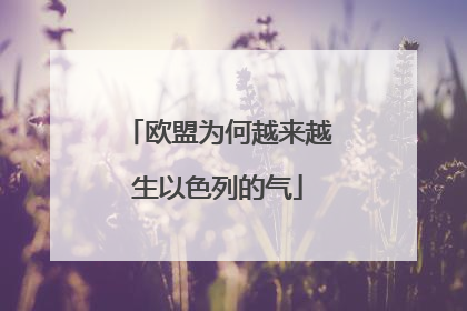 欧盟为何越来越生以色列的气