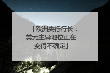 欧洲央行行长：美元主导地位正在变得不确定