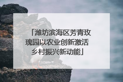 潍坊滨海区芳青玫瑰园以农业创新激活乡村振兴新动能