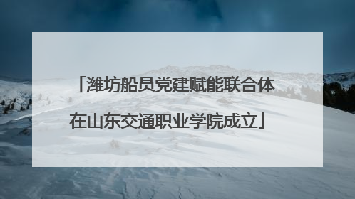 潍坊船员党建赋能联合体在山东交通职业学院成立