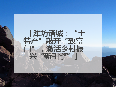 潍坊诸城：“土特产”敲开“致富门”，激活乡村振兴“新引擎”