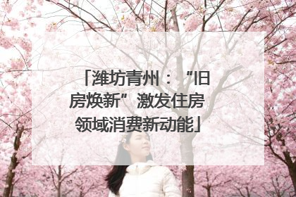潍坊青州：“旧房焕新”激发住房领域消费新动能
