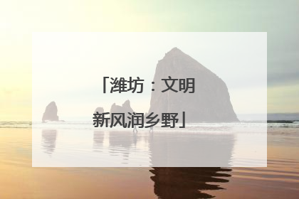 潍坊：文明新风润乡野