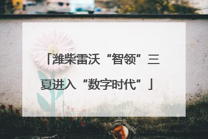 潍柴雷沃“智领”三夏进入“数字时代”