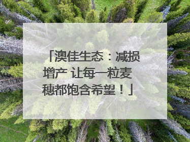 澳佳生态：减损增产 让每一粒麦穗都饱含希望！