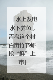 水上发电水下养鱼，青岛这个村百亩竹节虾抢“鲜”上市