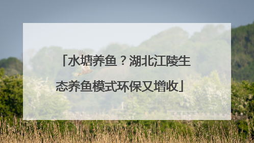 水塘养鱼？湖北江陵生态养鱼模式环保又增收