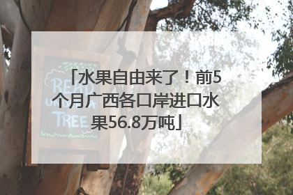 水果自由来了！前5个月广西各口岸进口水果56.8万吨