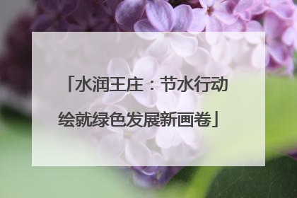 水润王庄：节水行动绘就绿色发展新画卷