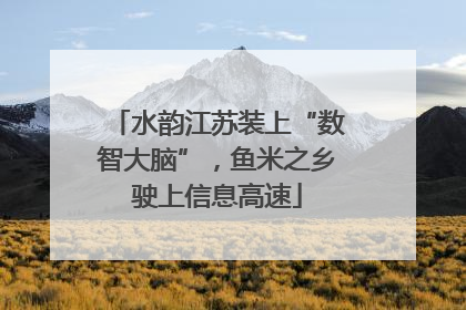 水韵江苏装上“数智大脑”，鱼米之乡驶上信息高速