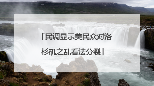 民调显示美民众对洛杉矶之乱看法分裂