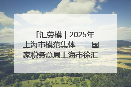 汇劳模｜2025年上海市模范集体——国家税务总局上海市徐汇区税务局第一税务所