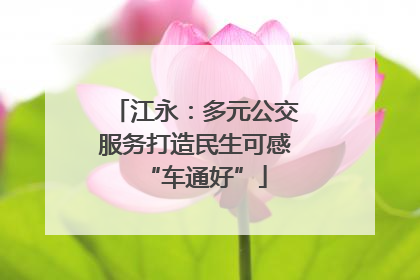 江永：多元公交服务打造民生可感“车通好”