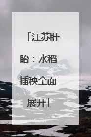 江苏盱眙：水稻插秧全面展开