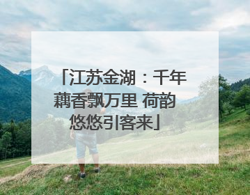 江苏金湖：千年藕香飘万里 荷韵悠悠引客来
