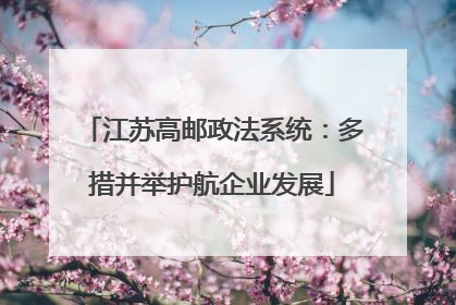 江苏高邮政法系统：多措并举护航企业发展