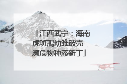 江西武宁：海南虎斑鳽幼雏破壳 濒危物种添新丁