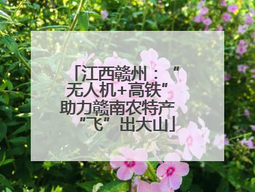 江西赣州：“无人机+高铁”助力赣南农特产“飞”出大山