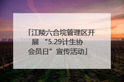 江陵六合垸管理区开展 “5.29计生协会员日”宣传活动