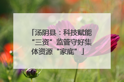 汤阴县：科技赋能“三资”监管守好集体资源“家底”