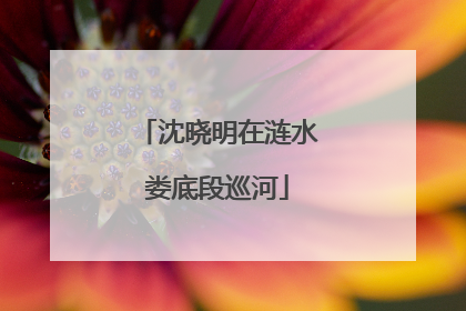 沈晓明在涟水娄底段巡河