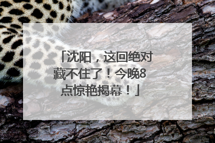 沈阳，这回绝对藏不住了！今晚8点惊艳揭幕！