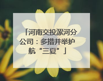 河南交投漯河分公司：多措并举护航“三夏”