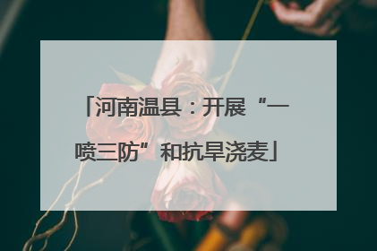 河南温县：开展“一喷三防”和抗旱浇麦