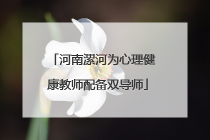 河南漯河为心理健康教师配备双导师